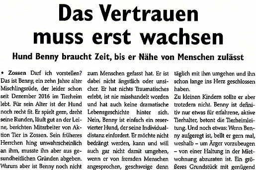 Wochenspiegel Zossen, 2. September 2017