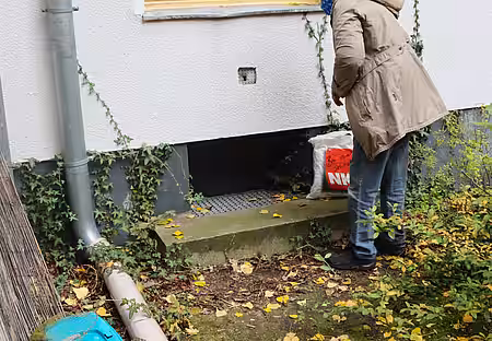 Theos Besitzerin hat ihren Liebling im Schacht entdeckt.