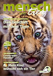 Ausgabe 2/2020