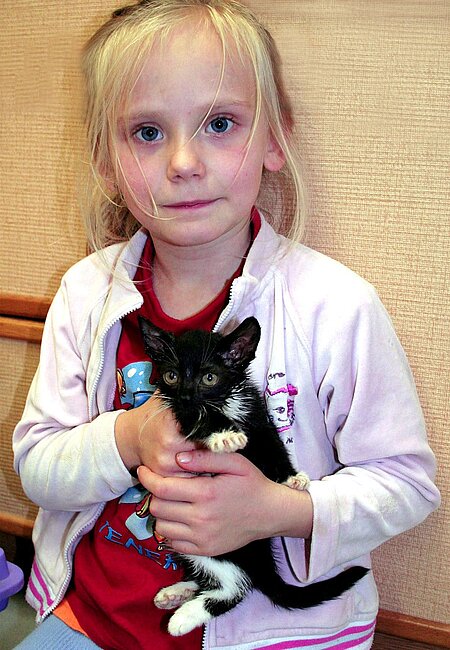 Kinder müssen lernen, dass man Tiere nicht quälen darf. Kinder müssen lernen, dass man Tiere nicht quälen darf.