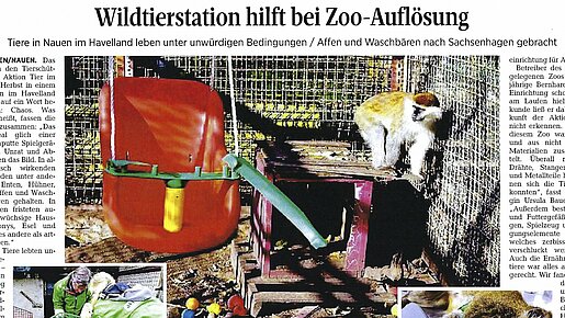 Wildtierstation hilft bei Zoo-Auflösung – Schaumburger Nachrichten