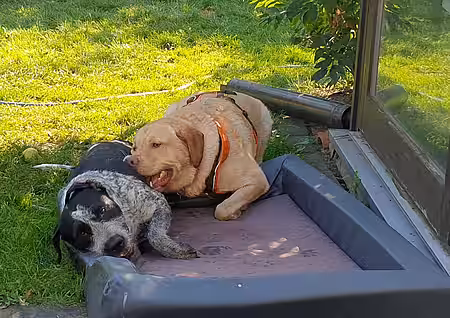 Ann Kari Sieme Ann Kari Sieme