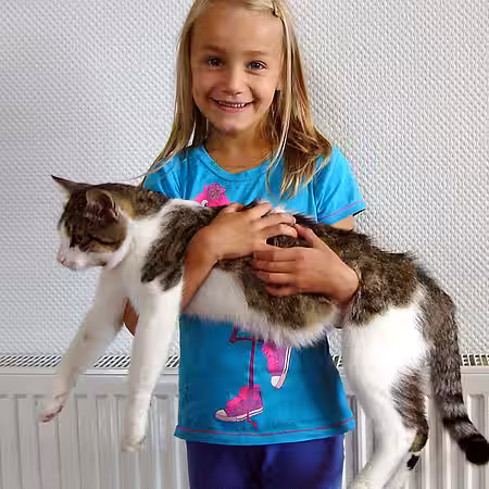 Diesem Mädchen hat niemand beigebracht, dass man die Pfoten der Katze mit den Händen stützen muss.