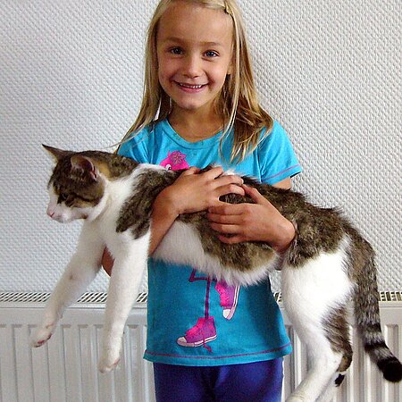 Diesem Mädchen hat niemand beigebracht, dass man die Pfoten der Katze mit den Händen stützen muss. Diesem Mädchen hat niemand beigebracht, dass man die Pfoten der Katze mit den Händen stützen muss.