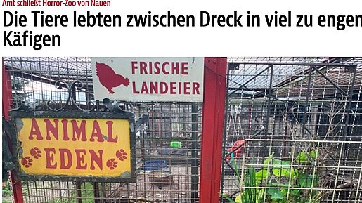 Die Tiere lebten zwischen Dreck in viel zu engen Käfigen – BZ Berlin