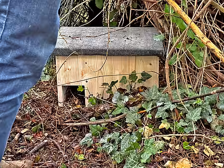 Der geschützte Standort eignet sich gut für die neue Igel-Behausung. Das Haus steht in einem Gebüsch.