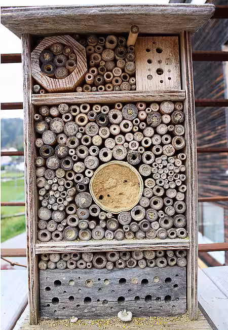 Gut belegte Nisthilfe