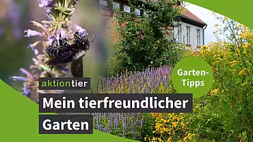 Titelbild: Mein tierfreundlicher Garten - aktion tier-Kampagne