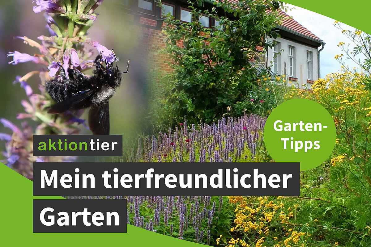 Mein tierfreundlicher Garten