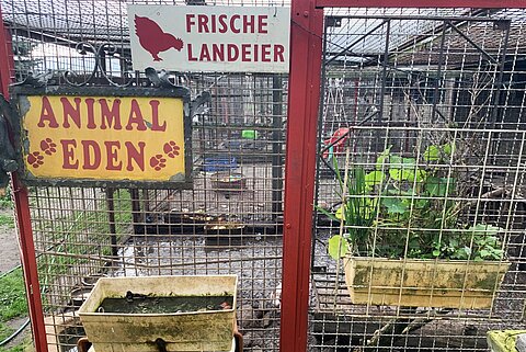 Nichts im Zoo Nauen ist paradiesisch