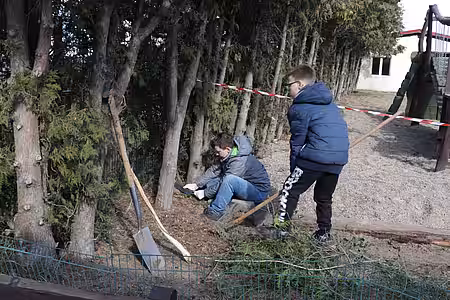 Die Kinder sägten alles ab, was Fred gefährlich werden könnte.