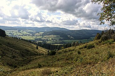 Der Schwarzwald, Deutschlands höchstes und größtes Mittelgebirge.
