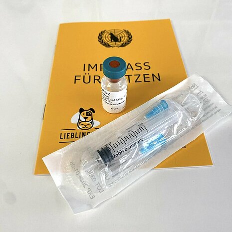 Eine Impfung schützt die Katze vor der heimtückischen Infektion mit Katzenschnupfen.