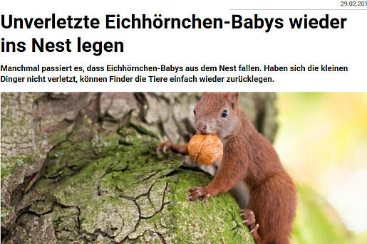 Frankfurter Neue Presse, 29.02.2016