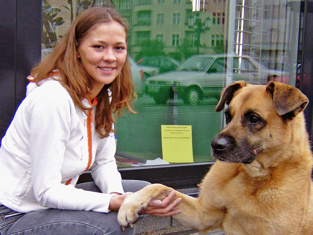 Aktion Tier Menschen Fur Tiere E V