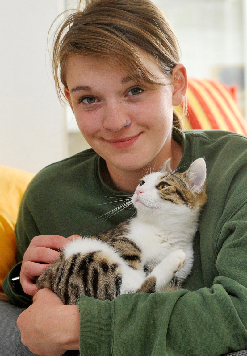 hauskatzen aktion tier menschen fur tiere e v