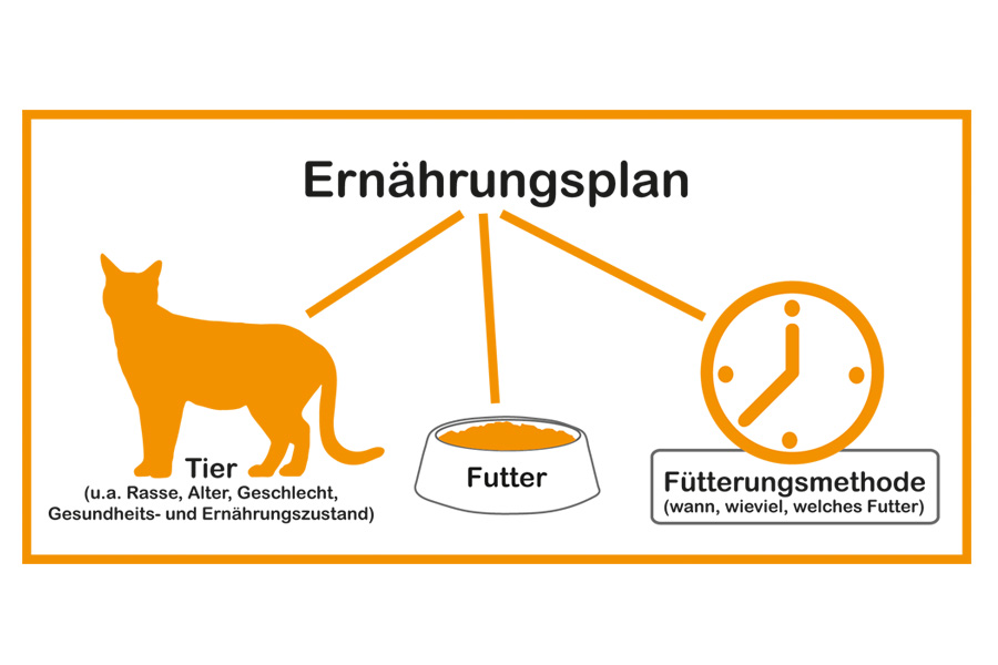 Richtig Futtern Aber Wie Aktion Tier Menschen Fur Tiere E V
