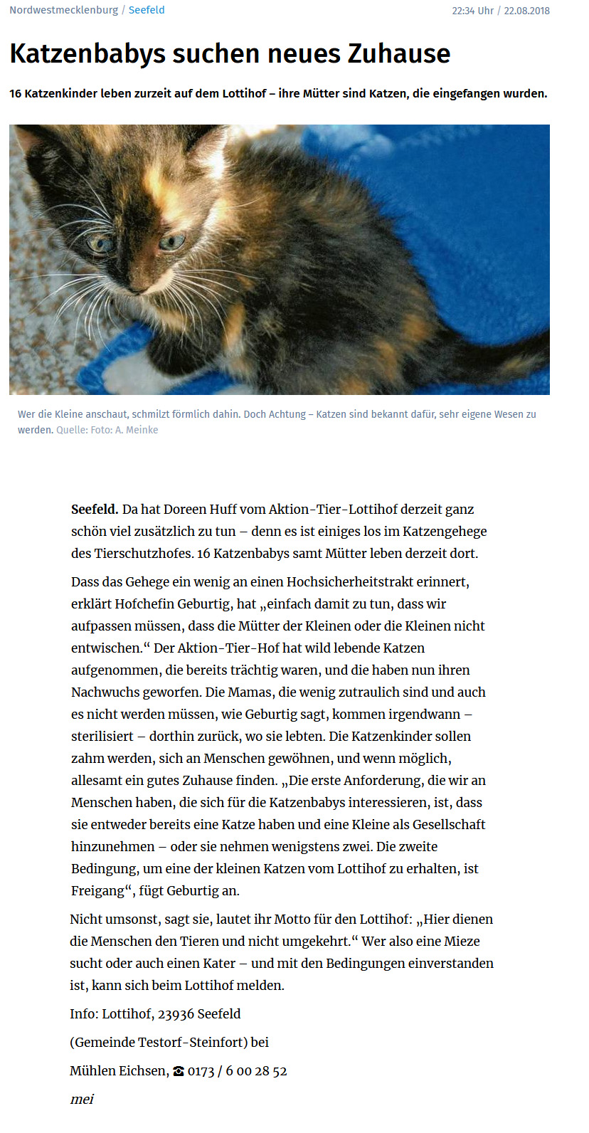 Aktion Tier Menschen Fur Tiere E V